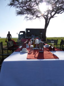 A breakfast table filled with champagne and coffee. In the back you see a truck and the small kitchen of the Balloon Safari where a chef is preparing food.