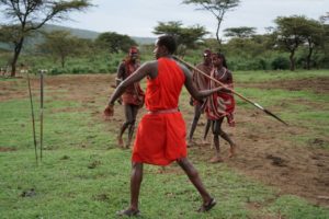 Experience Maasai culture in Kenya. Maasai man in red shukas is about to throw a long speer. Other warriors watch him in the background.