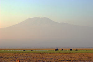 Elephants and Kili