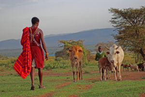 Visit a Maasai Village - included