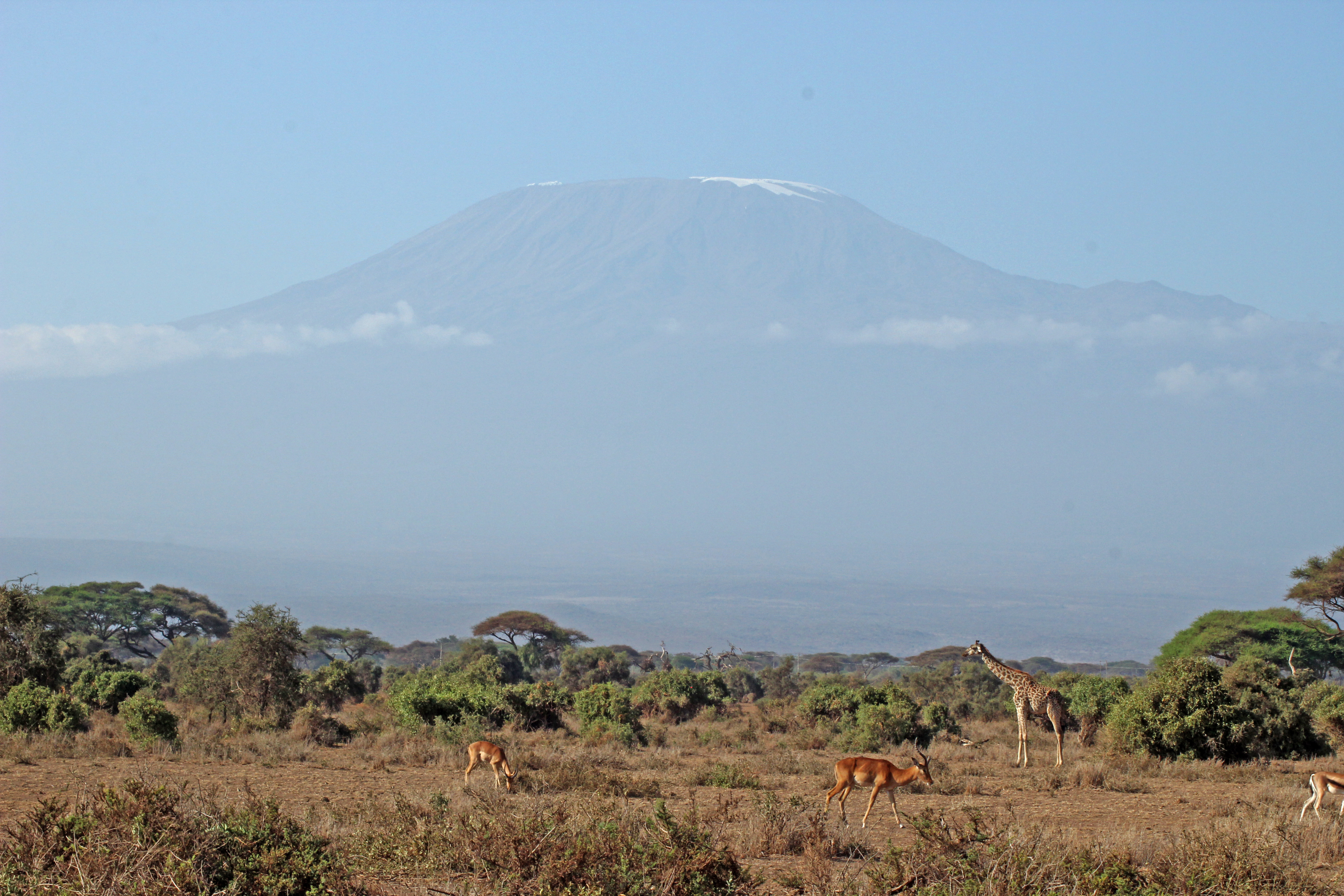 Mount Kilimanjaro in Amboseli