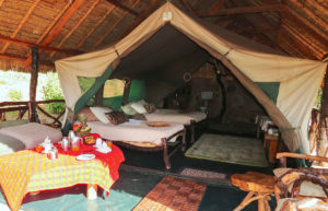 Sabache Camp