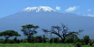 Amboseli National Park