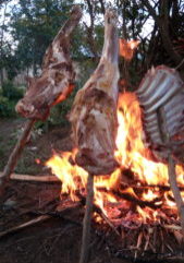 Three wooden sticks with goat meat are roasting above the flames of a campfire