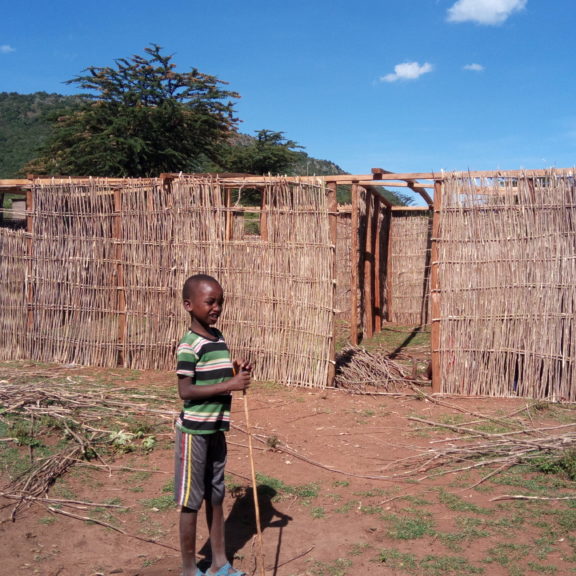 A new Maasai house is being build. The women in the back are working on the scaffolding out of branches.