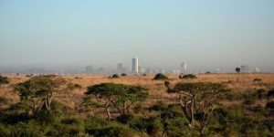 The Savannah of the Nairobi National park in the foreground, Nairobis skyscrapers in the background. An amazing possibility of safari right next to the city.