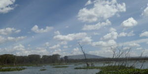 Lake Naivasha Area